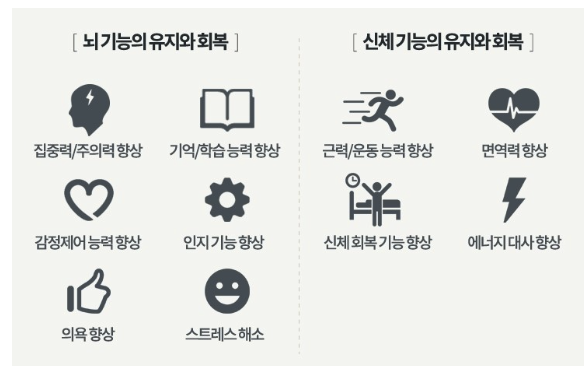 이상적인 수면 습관