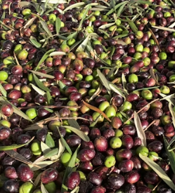 당뇨 식단 레시피 좋은 나쁜 음식