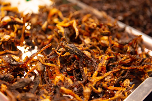 곤충 식품의 글로벌 식량 불균형 해소 역할