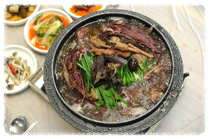 고향정