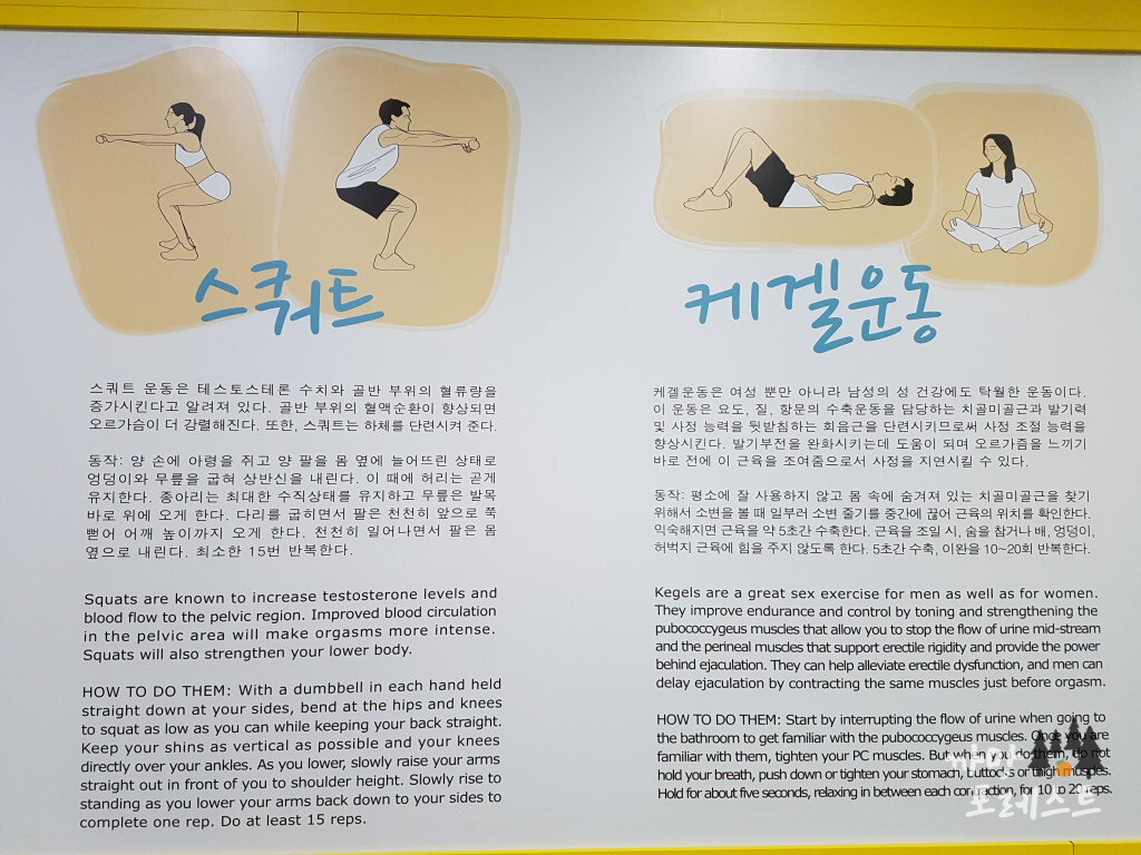 건강과 성 박물관 운동