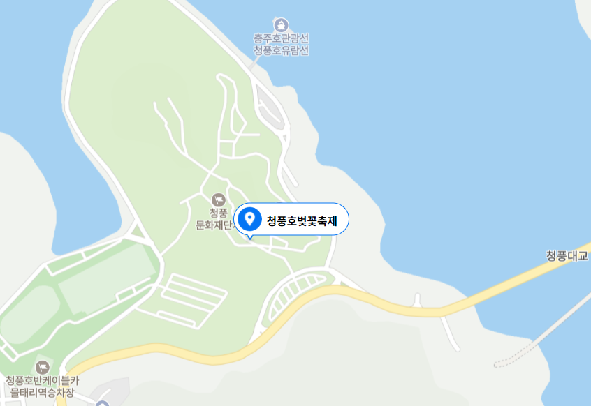 청풍호 벚꽃축제