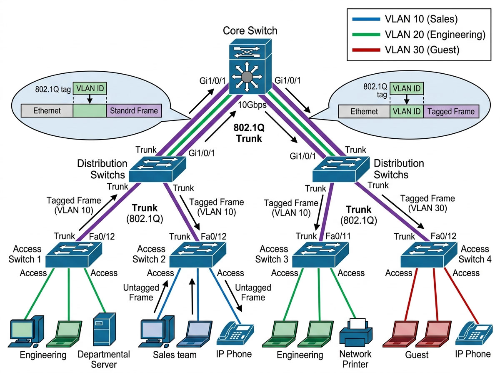 네트워크 이미지