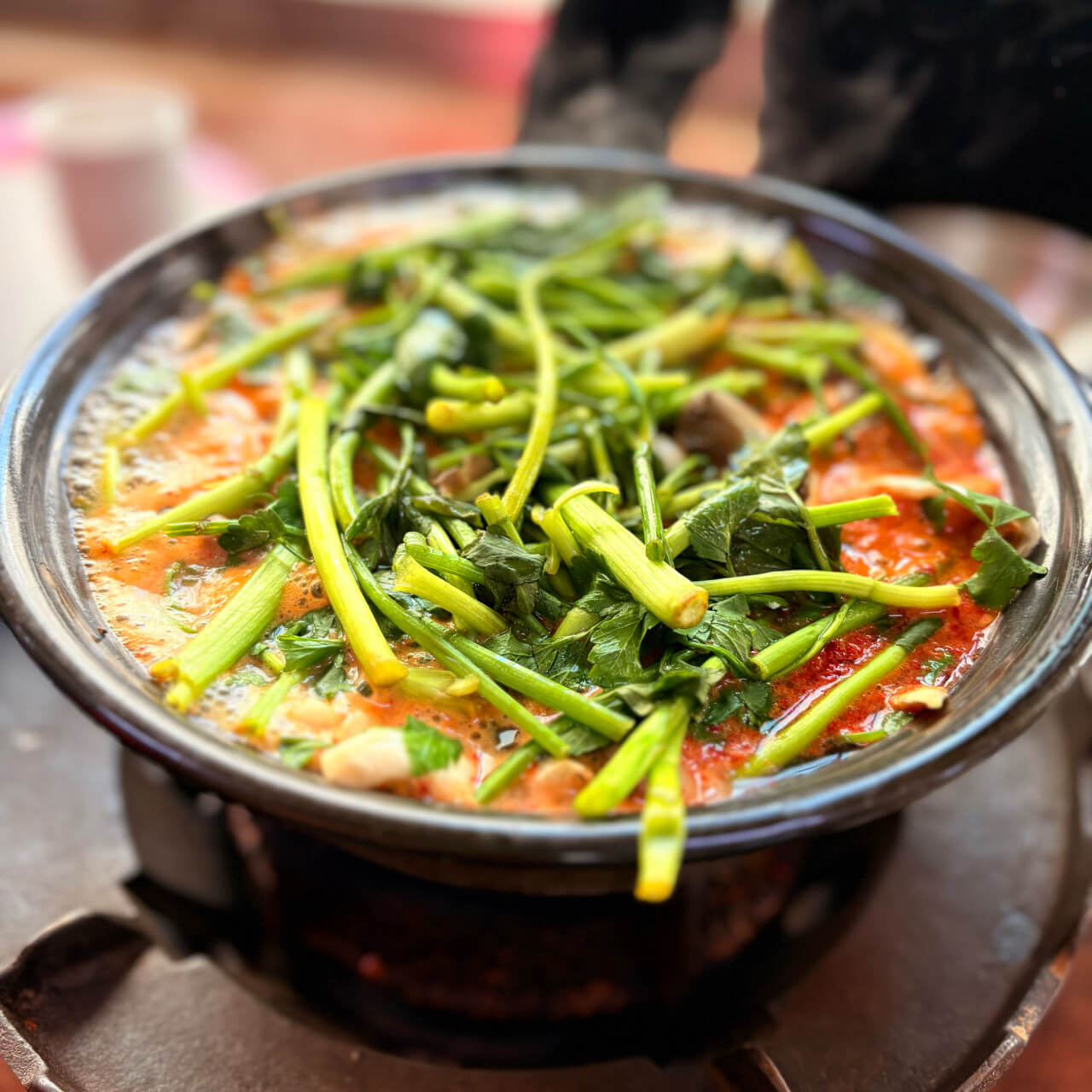 전현무계획2 요아정 특집 서울 강서구 버섯매운탕 칼국수 맛집 등촌최월선칼국수 