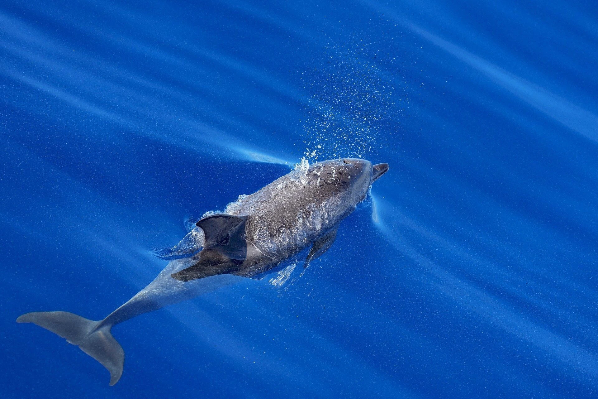 실시간 반응 문화가 인간의 인내력에 미치는 심리적 변화