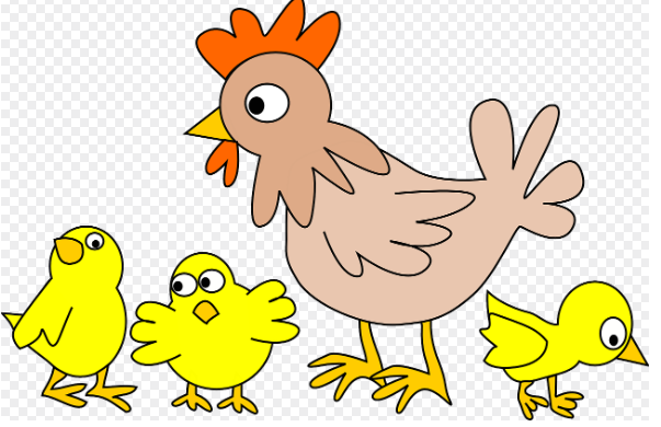 2025년 띠별 운세 총정리