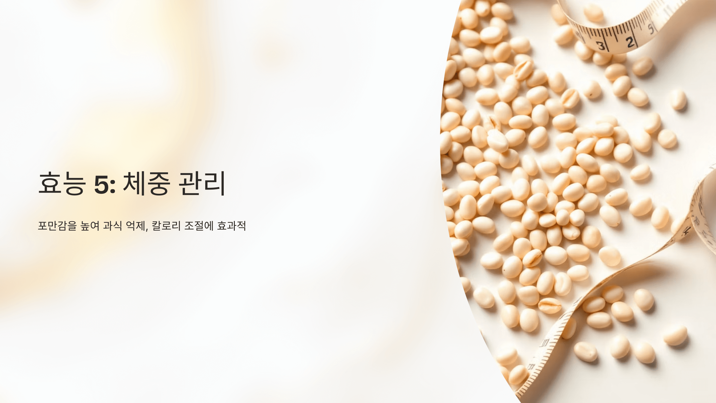 루피니빈 사진입니다.