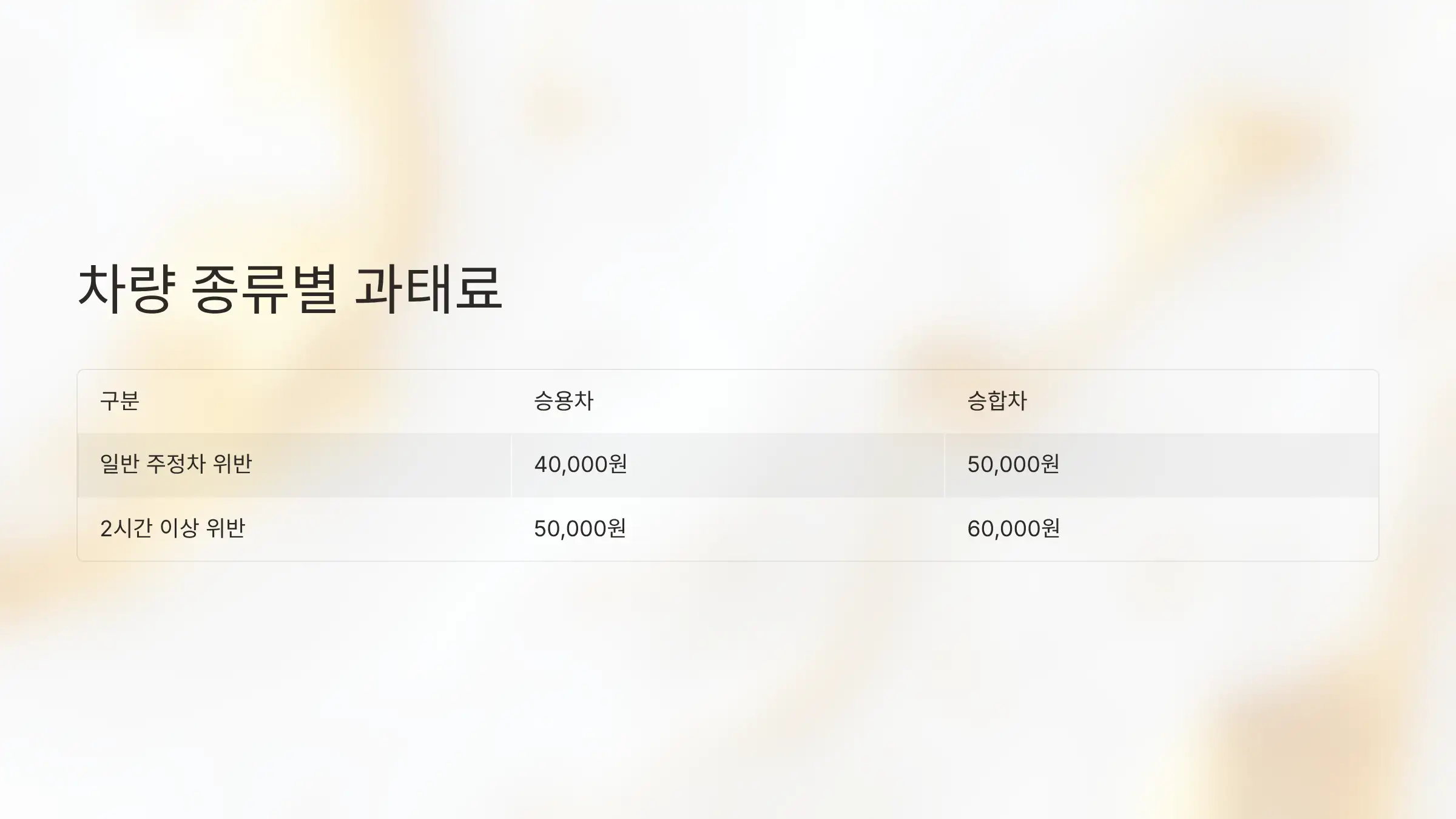 차량 종류에 따른 과태료 기준