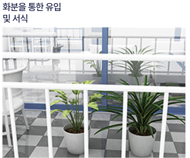 세스코 가정집 가격