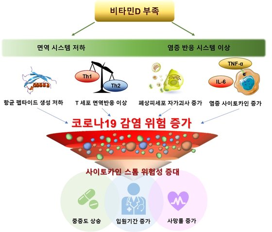 비타민d 하루 권장량
비타민d 많은 음식
비타민d 효능
비타민d 추천
비타민d 부족증상
비타민d 정상수치
