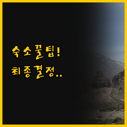 테네리페 숙소 선택의 모든 것 아도니..