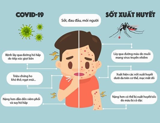 코로나와 뎅기열의 증상 비교