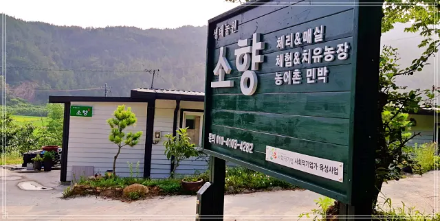 생방송오늘저녁 전남 고흥 치유, 힐링, 팜스테이 생태농원, 예비 사위 과수원 후계자 체험, 유자 피자 만들기, 건강 밥상, 펜션, 여행 숙소 추천
