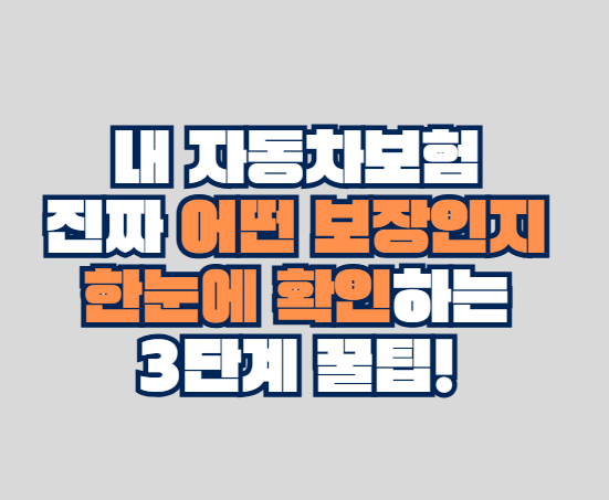 내 자동차보험