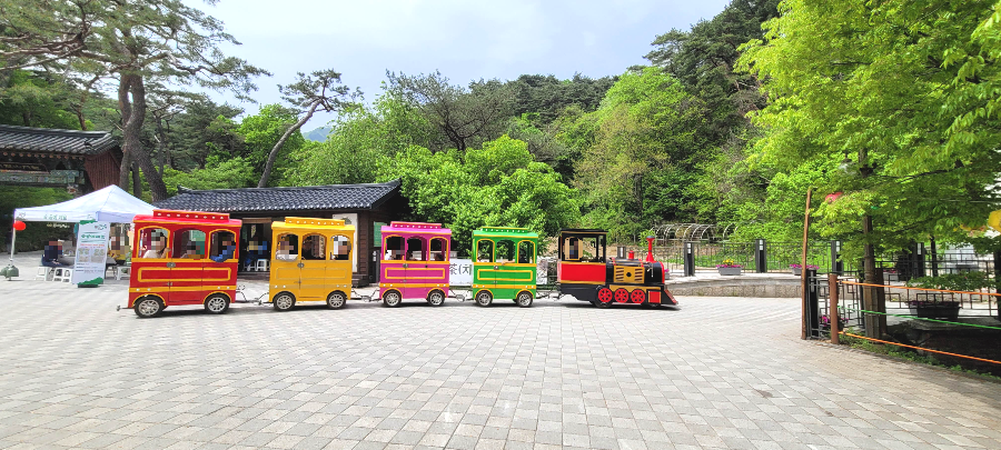 산나물 축제 투어 기차