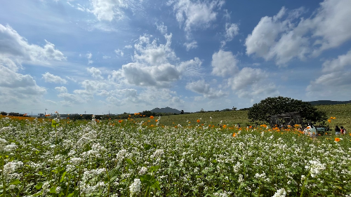 고창학원농장15