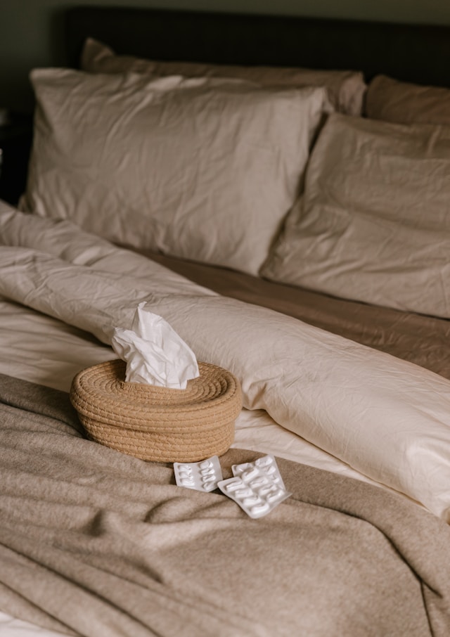 4가 독감 백신 가격