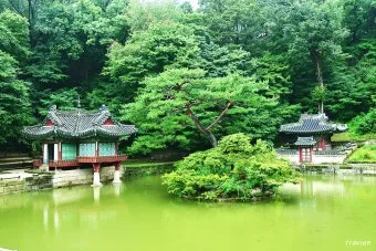 창덕궁 봄 꽃 개화 시기 근처 맛집 10선_23