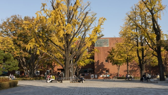 보은 가볼만한곳 베스트10