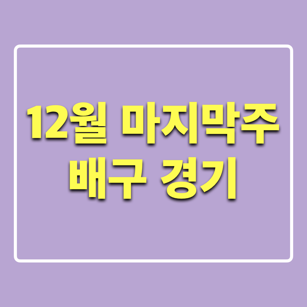 12월마지막주_배구경기