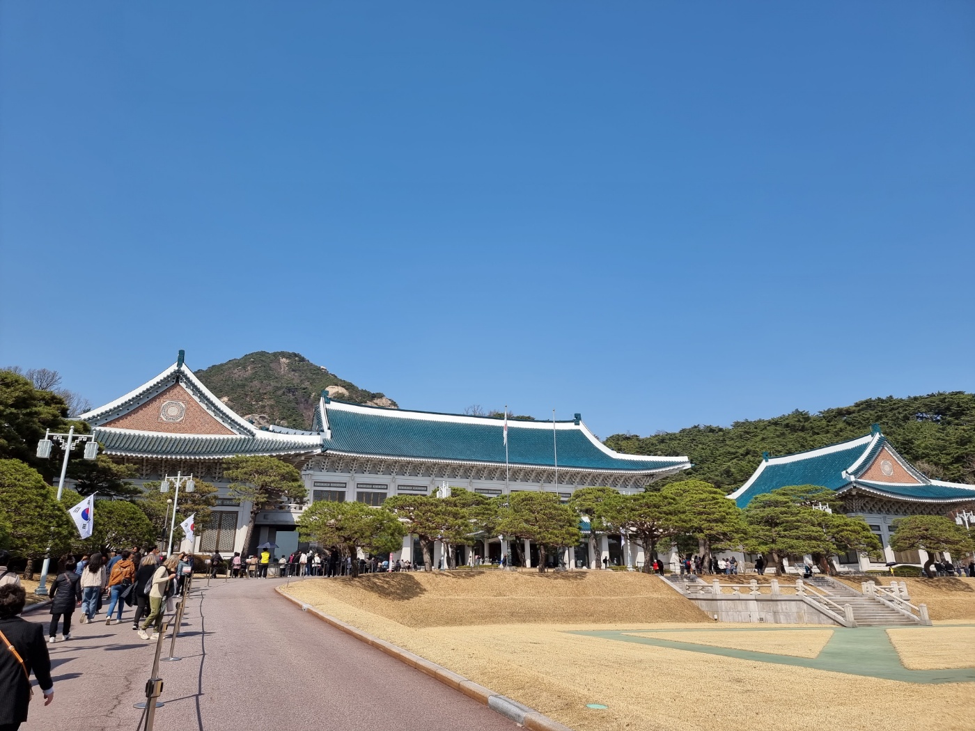 청와대