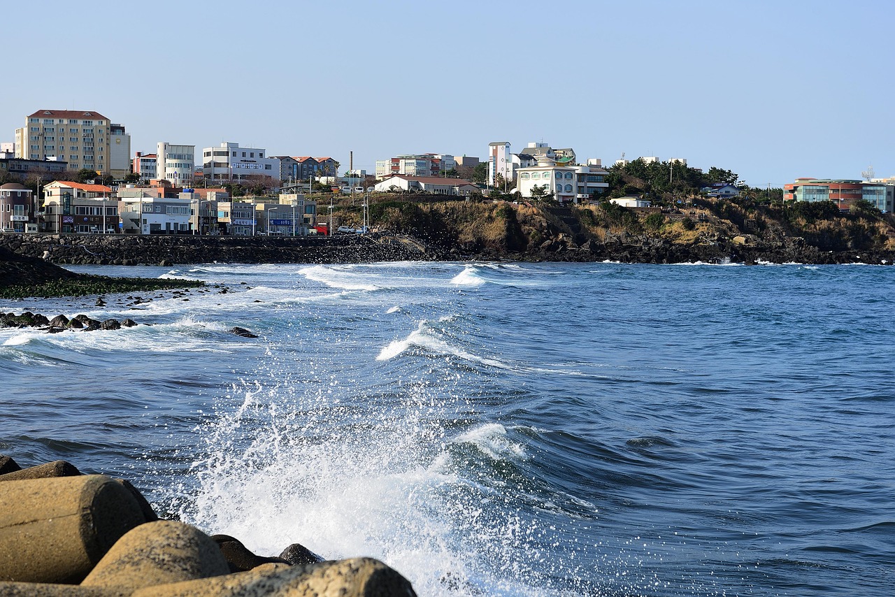 제주도 호텔