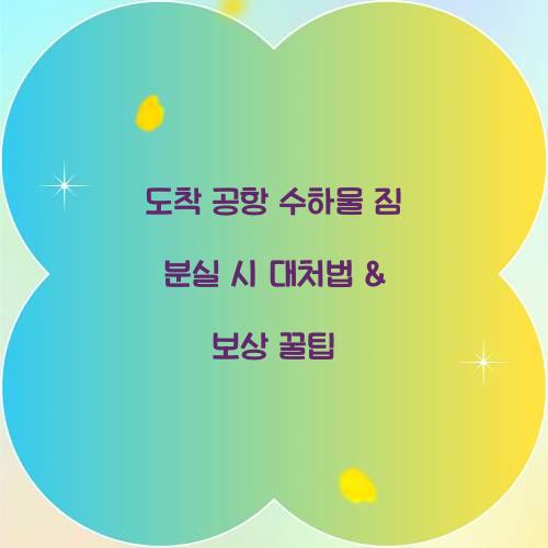 도착 공항 수하물 짐 분실