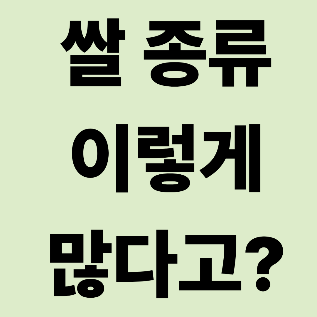 요즘 쌀 종류가 왜 이렇게 많을까? 내게 맞는 쌀 고르는 법