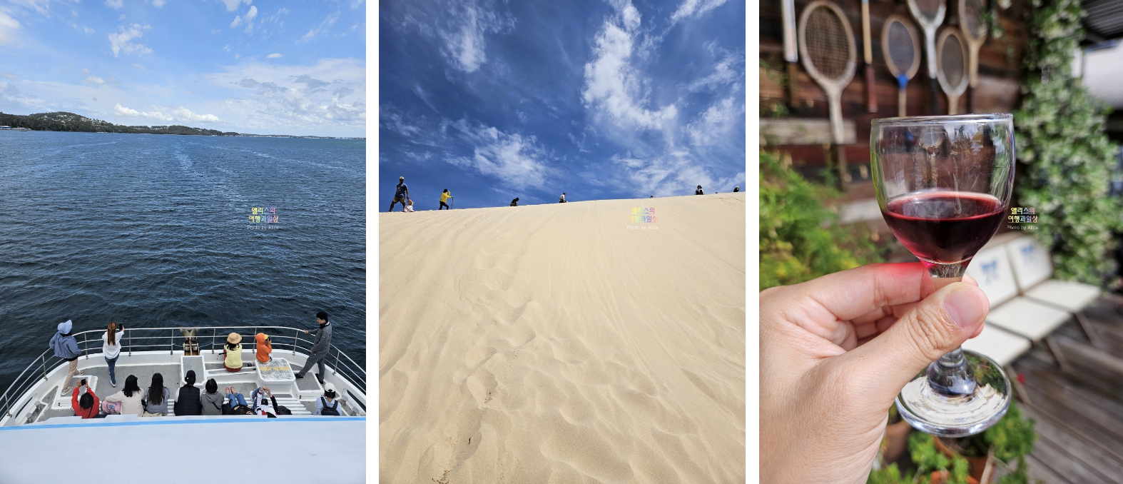 익스피디아 12월 15% 호텔할인코드 (~12.31) + 호주 시드니 여행 추천 일일투어