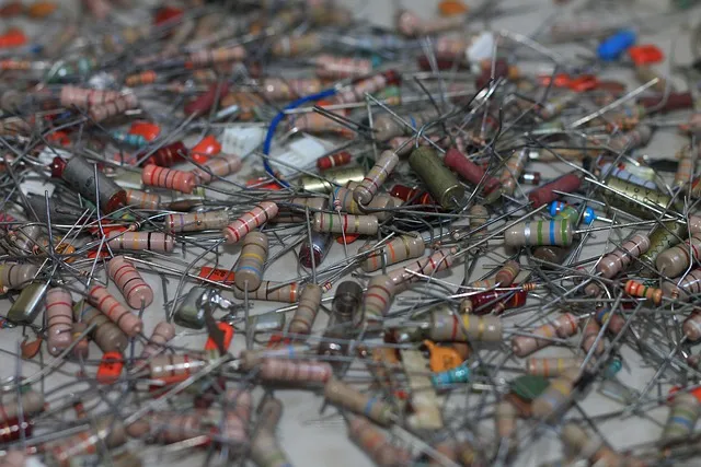 펫시터자격 교육과정 활동영역 창업준비 시니어 돌봄 일거리 찾기_2