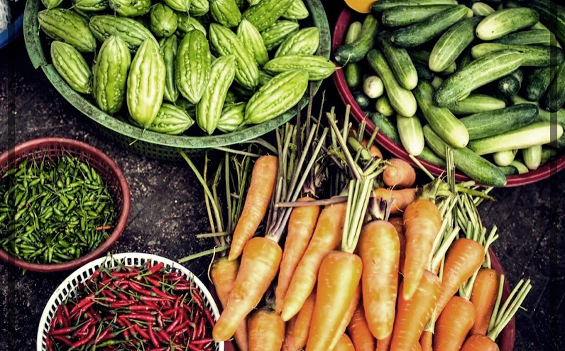 강아지 고양이 변 냄새로 알아보는 건강상태 10가지