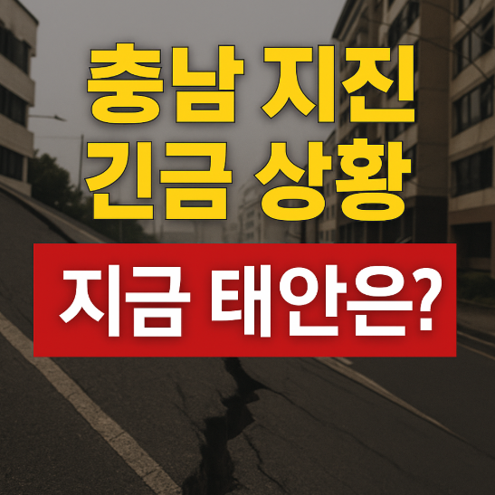 태안 흔들렸다! 건물 균열&middot;학교 대피 현장 정리