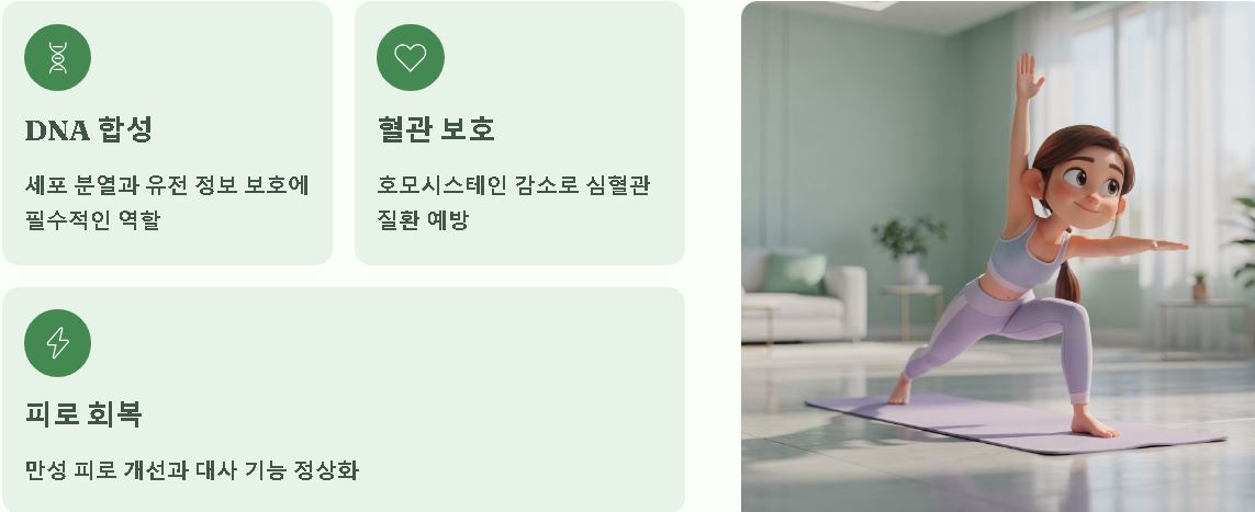 엽산 효능 총정리