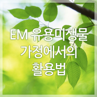 EM(유용미생물)
