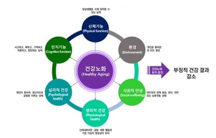 새로운 지표 건강노화지수란? 내 노화 단계 자가진단법
