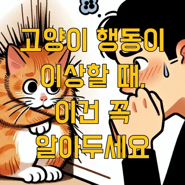 고양이 행동이 이상할 때, 이건 꼭 알아두세요