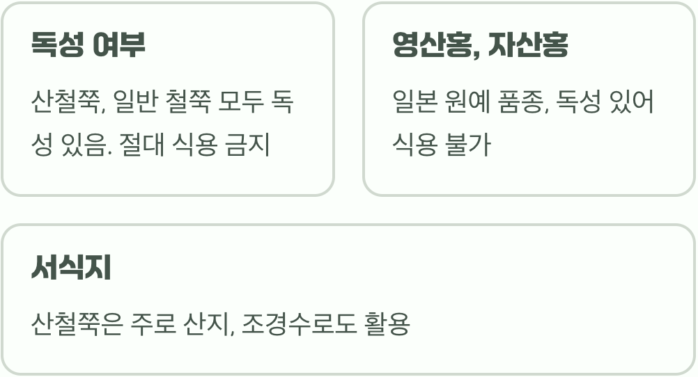 산철쭉 vs 일반 철쭉&amp;#44; 잎과 꽃 모양으로 1분 만에 완벽 구분하는 법