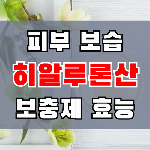 피부 보습부터 관절 건강까지 히알루론산 보충제 효능