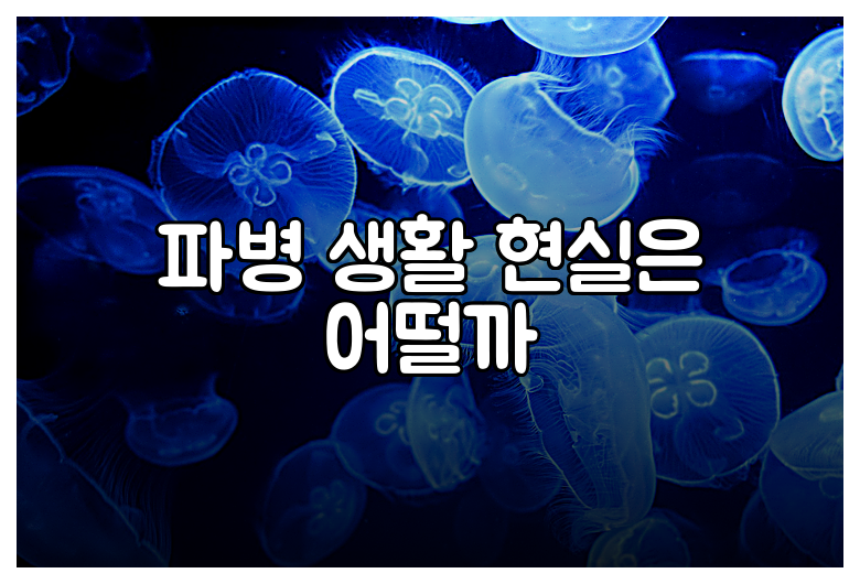 파병 생활 현실은 어떨까