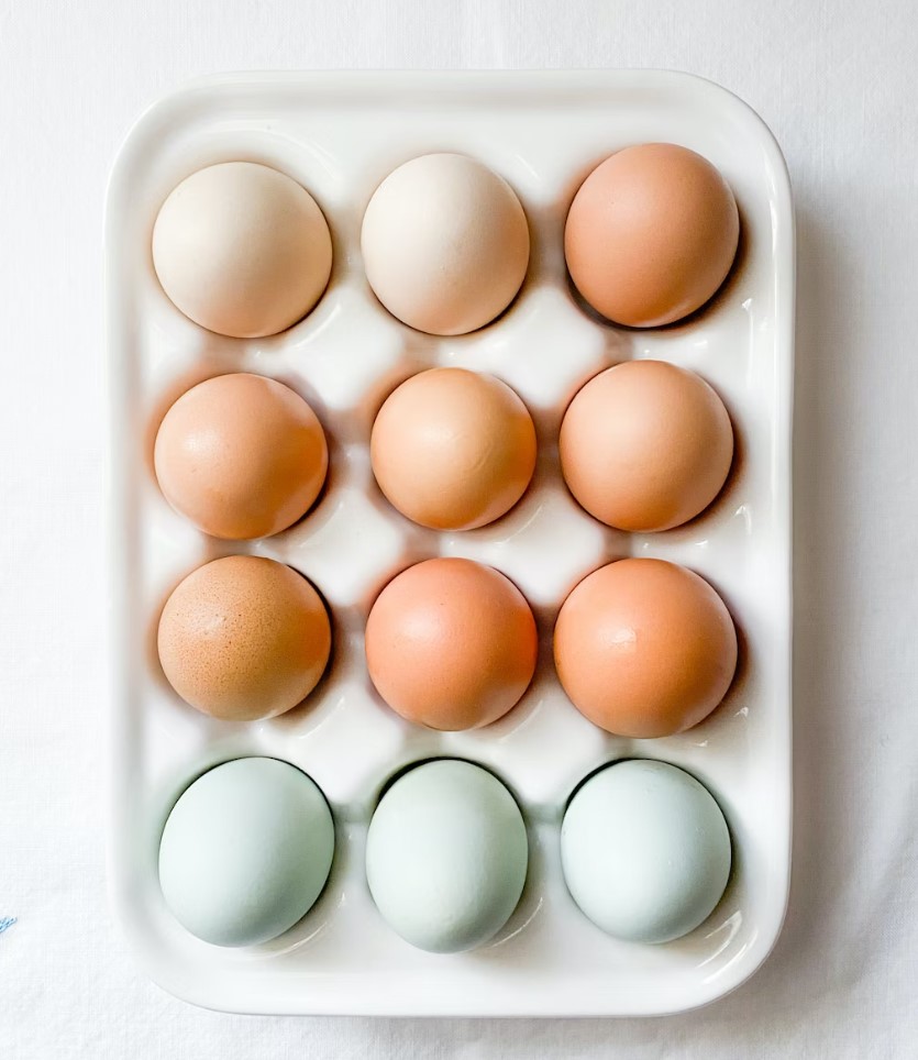 피곤할때 먹으면 좋은 음식