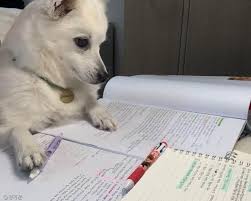 실업급여