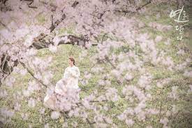 인천 웨딩 촬영 업체(스튜디오) 추천 BEST 5 - 아우라 스튜디오