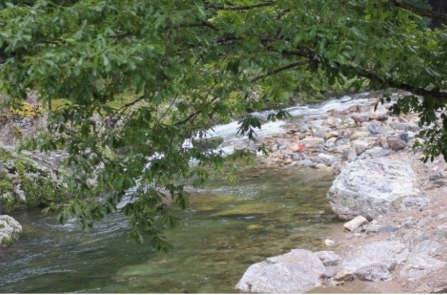 봉평 메밀밭 & 흥정계곡