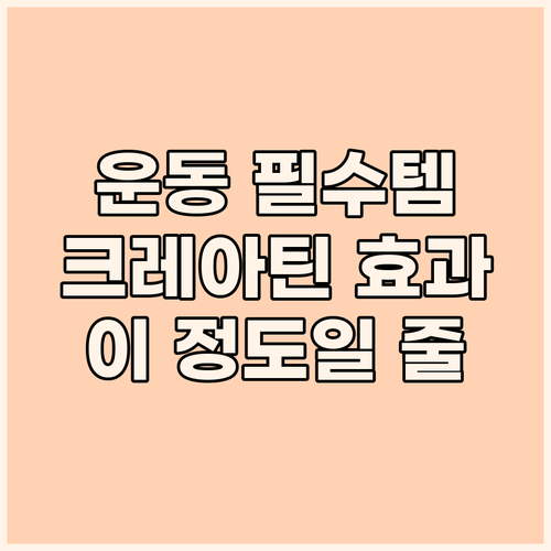 운동 마니아 필수템 올아메리칸 크레아..