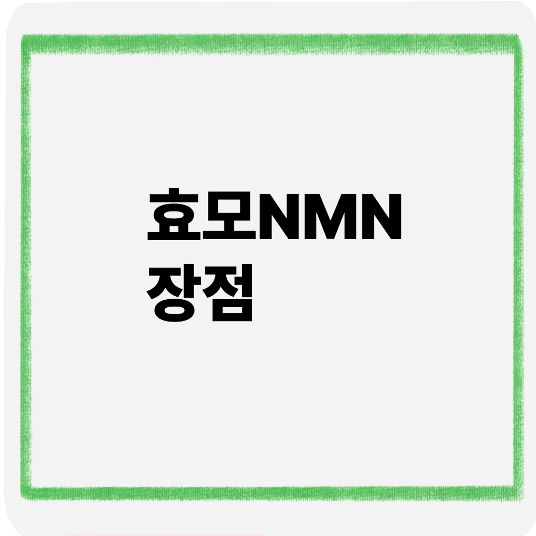 효모nmn장점