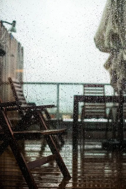 화분 베란다 단열 겨울철보온 커튼사용 찬바람차단 식물보호 요령_5