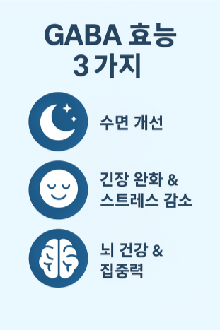 GABA효능 3가지 인포그래픽