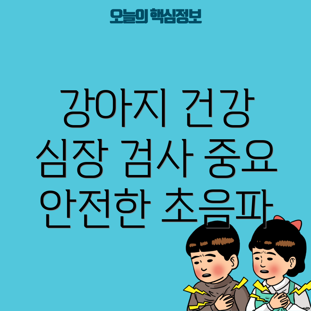 강아지 심장 초음파 검사