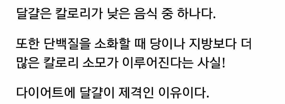 하루달걀2개먹기