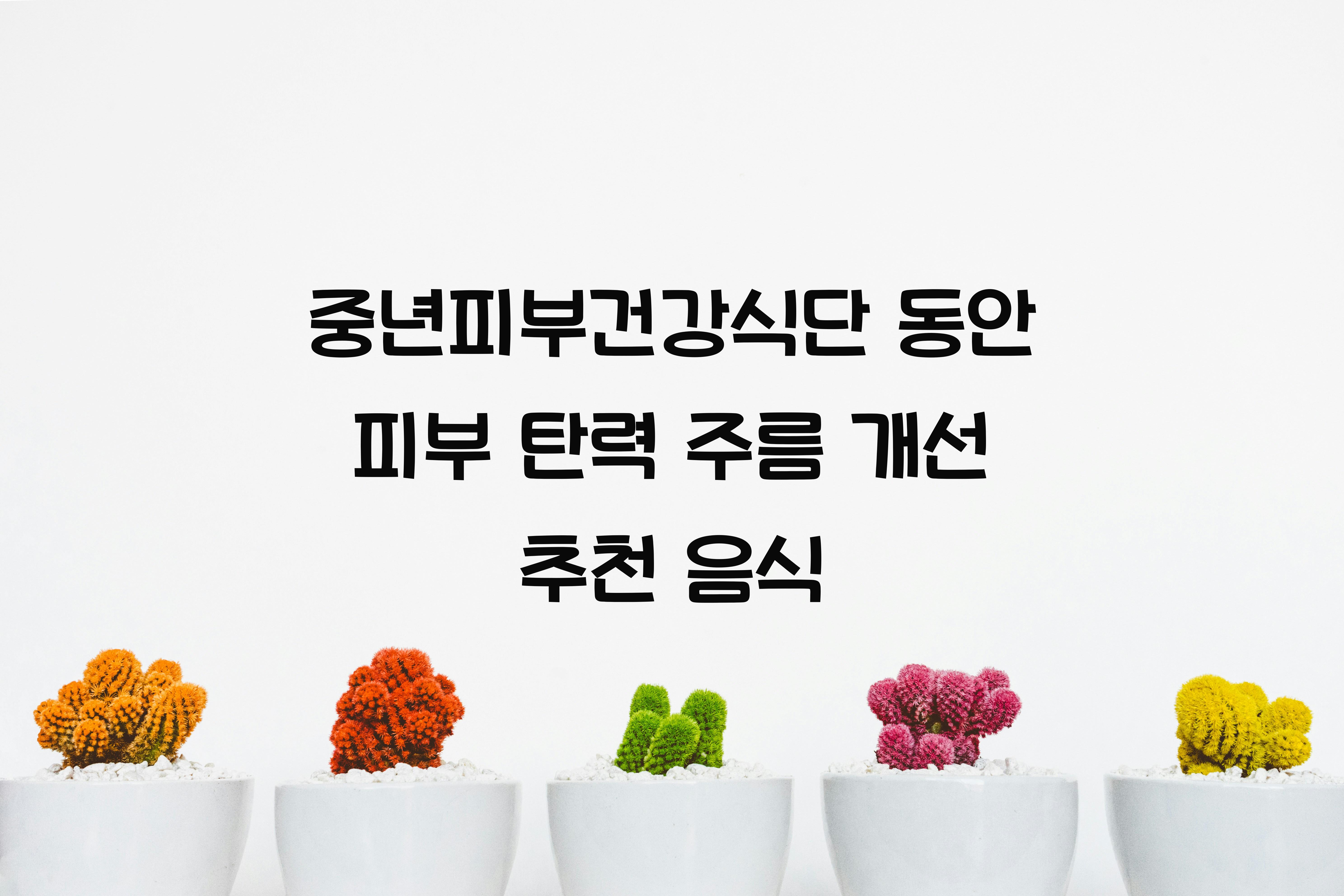 중년피부건강식단
